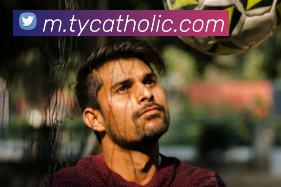 太阳城网站发展历程